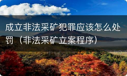 成立非法采矿犯罪应该怎么处罚（非法采矿立案程序）