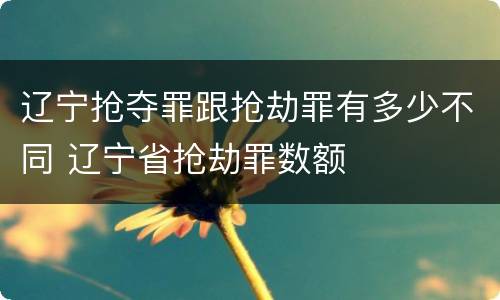 辽宁抢夺罪跟抢劫罪有多少不同 辽宁省抢劫罪数额