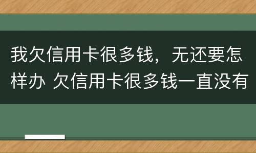 我欠信用卡很多钱，无还要怎样办 欠信用卡很多钱一直没有钱还会怎么办