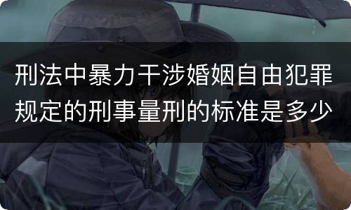 刑法中暴力干涉婚姻自由犯罪规定的刑事量刑的标准是多少