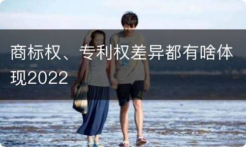 商标权、专利权差异都有啥体现2022