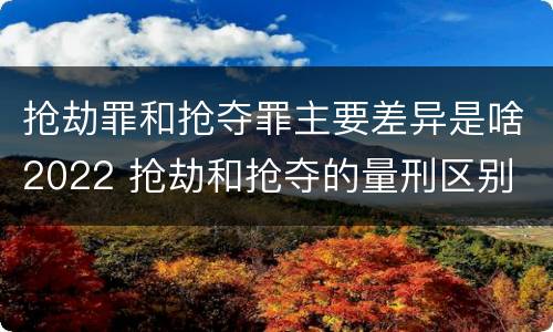 抢劫罪和抢夺罪主要差异是啥2022 抢劫和抢夺的量刑区别