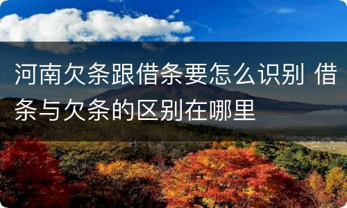 河南欠条跟借条要怎么识别 借条与欠条的区别在哪里
