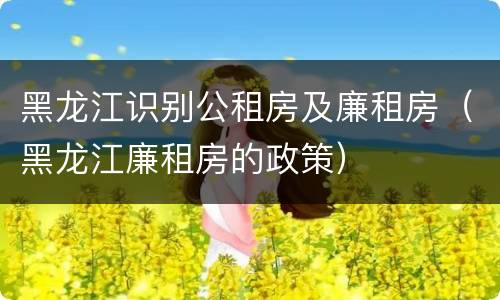 黑龙江识别公租房及廉租房（黑龙江廉租房的政策）