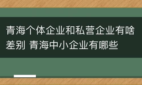 青海个体企业和私营企业有啥差别 青海中小企业有哪些