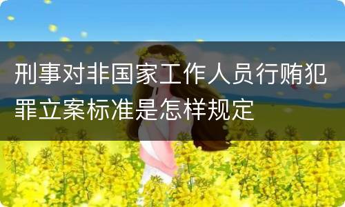 刑事对非国家工作人员行贿犯罪立案标准是怎样规定