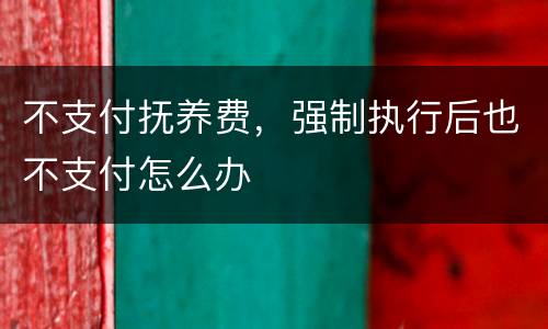 不支付抚养费，强制执行后也不支付怎么办