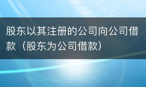 股东以其注册的公司向公司借款（股东为公司借款）