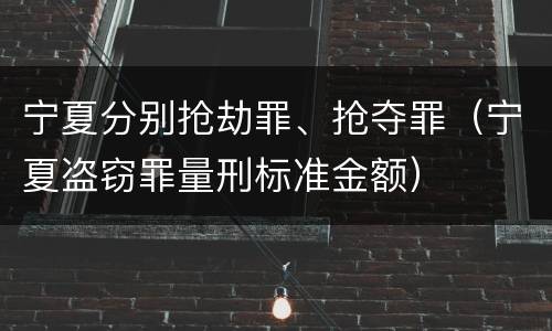 宁夏分别抢劫罪、抢夺罪（宁夏盗窃罪量刑标准金额）