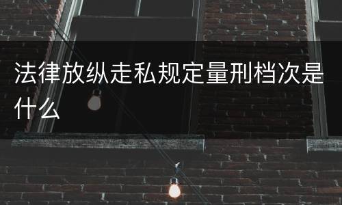 法律放纵走私规定量刑档次是什么