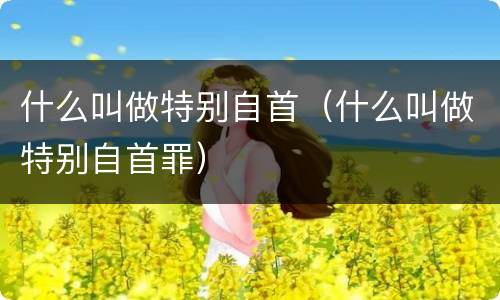 什么叫做特别自首（什么叫做特别自首罪）