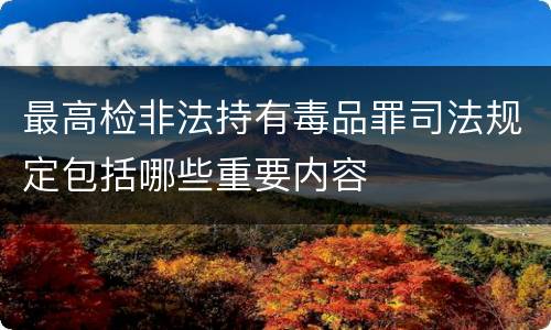 最高检非法持有毒品罪司法规定包括哪些重要内容