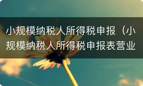 小规模纳税人所得税申报（小规模纳税人所得税申报表营业收入）
