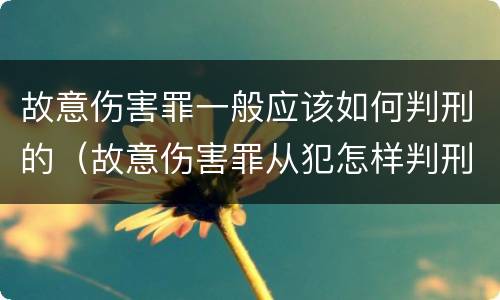 故意伤害罪一般应该如何判刑的（故意伤害罪从犯怎样判刑）