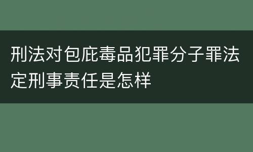 刑法对包庇毒品犯罪分子罪法定刑事责任是怎样