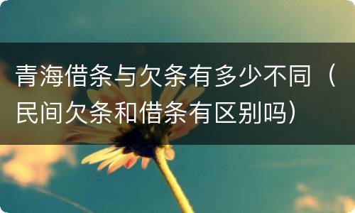 青海借条与欠条有多少不同（民间欠条和借条有区别吗）