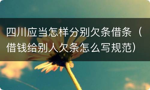 四川应当怎样分别欠条借条（借钱给别人欠条怎么写规范）