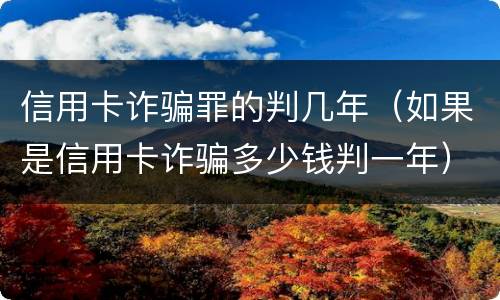 信用卡诈骗罪的判几年（如果是信用卡诈骗多少钱判一年）
