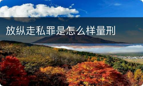 放纵走私罪是怎么样量刑