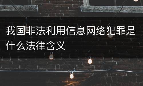 我国非法利用信息网络犯罪是什么法律含义