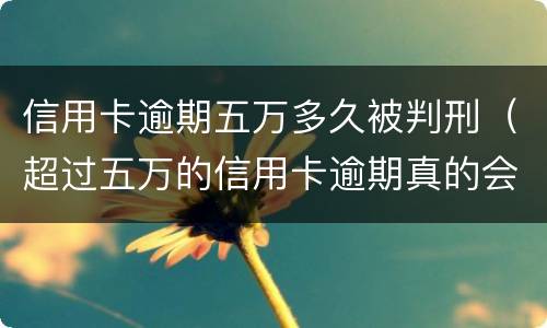 信用卡逾期五万多久被判刑（超过五万的信用卡逾期真的会立案吗）