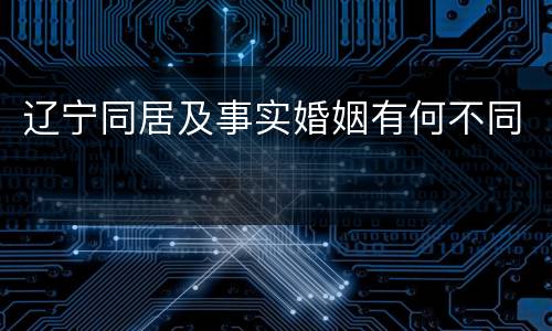 辽宁同居及事实婚姻有何不同