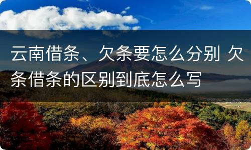 云南借条、欠条要怎么分别 欠条借条的区别到底怎么写