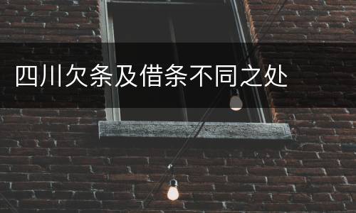 四川欠条及借条不同之处