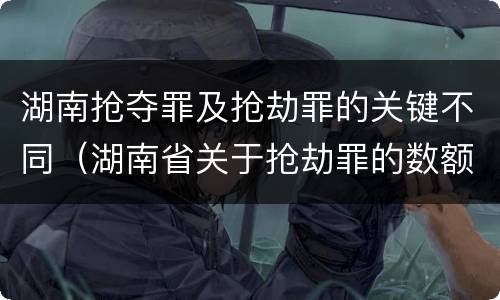 湖南抢夺罪及抢劫罪的关键不同（湖南省关于抢劫罪的数额规定）