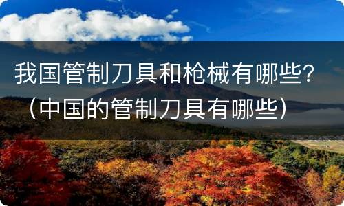 我国管制刀具和枪械有哪些？（中国的管制刀具有哪些）