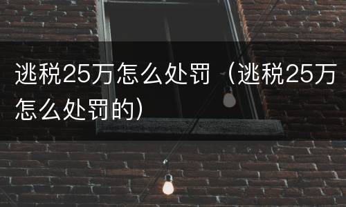 逃税25万怎么处罚（逃税25万怎么处罚的）