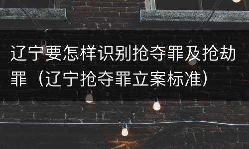 辽宁要怎样识别抢夺罪及抢劫罪（辽宁抢夺罪立案标准）