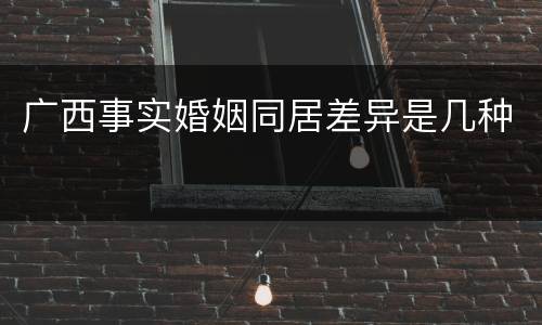 广西事实婚姻同居差异是几种
