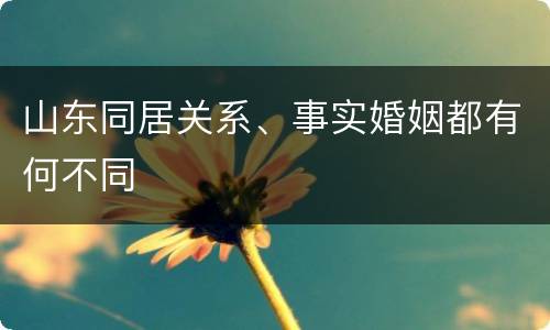 山东同居关系、事实婚姻都有何不同