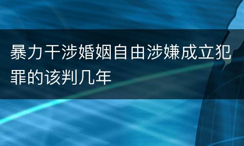 暴力干涉婚姻自由涉嫌成立犯罪的该判几年