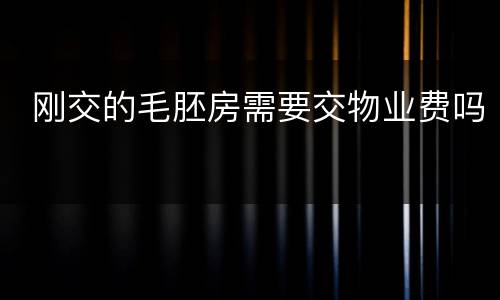  刚交的毛胚房需要交物业费吗