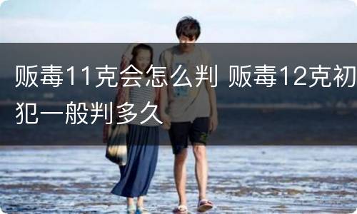 贩毒11克会怎么判 贩毒12克初犯一般判多久