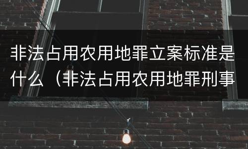 非法占用农用地罪立案标准是什么（非法占用农用地罪刑事立案标准）