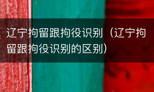 辽宁拘留跟拘役识别（辽宁拘留跟拘役识别的区别）