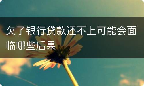 欠了银行贷款还不上可能会面临哪些后果