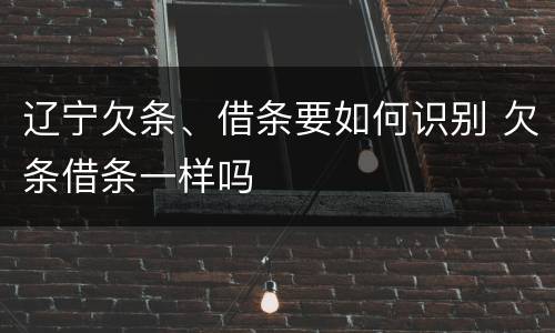 辽宁欠条、借条要如何识别 欠条借条一样吗