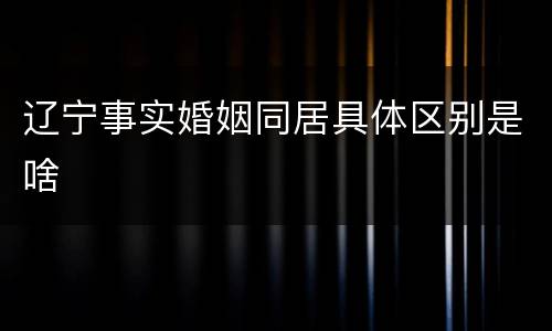 辽宁事实婚姻同居具体区别是啥