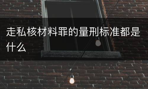 走私核材料罪的量刑标准都是什么