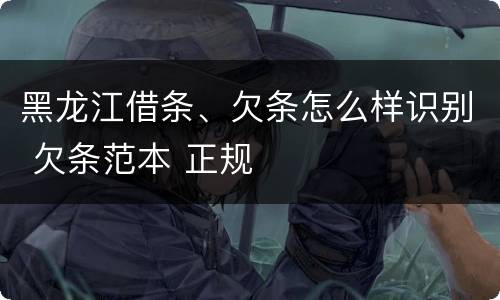 黑龙江借条、欠条怎么样识别 欠条范本 正规