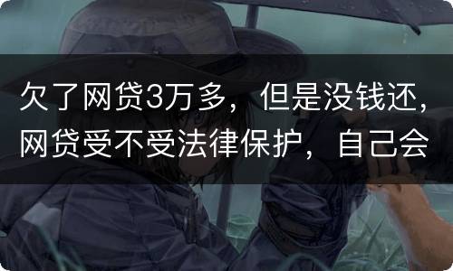 欠了网贷3万多，但是没钱还，网贷受不受法律保护，自己会承担什么责任