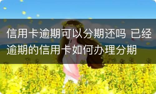 信用卡逾期可以分期还吗 已经逾期的信用卡如何办理分期