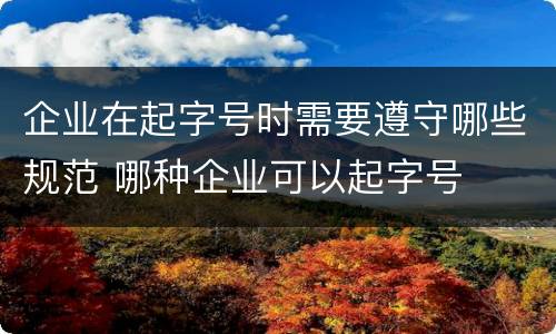 企业在起字号时需要遵守哪些规范 哪种企业可以起字号