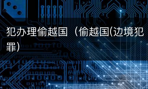 犯办理偷越国（偷越国(边境犯罪）