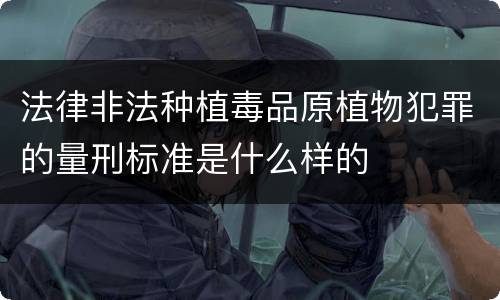 法律非法种植毒品原植物犯罪的量刑标准是什么样的
