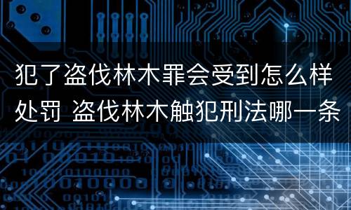 犯了盗伐林木罪会受到怎么样处罚 盗伐林木触犯刑法哪一条